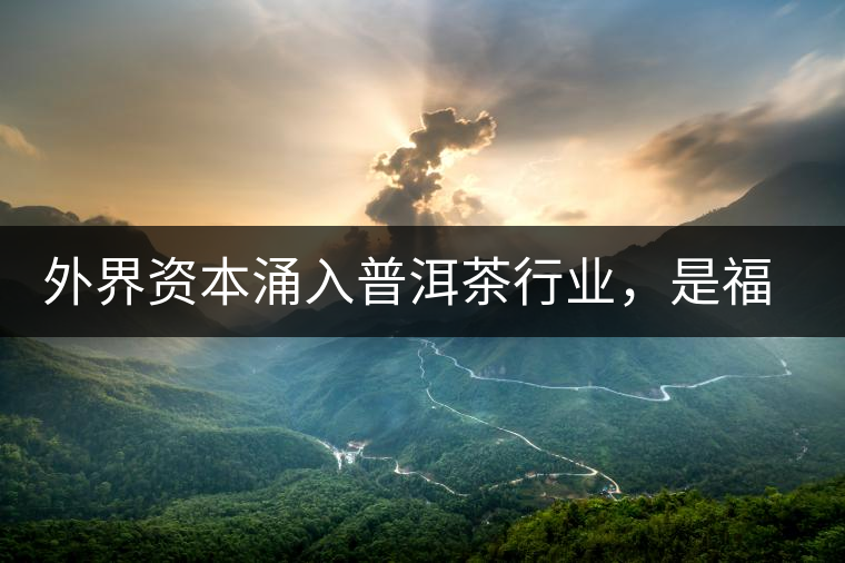 外界資本涌入普洱茶行業(yè)，是福還是禍？
