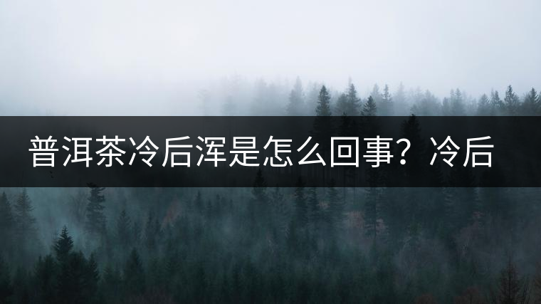 普洱茶冷后渾是怎么回事？冷后渾的普洱茶品質(zhì)好不好？