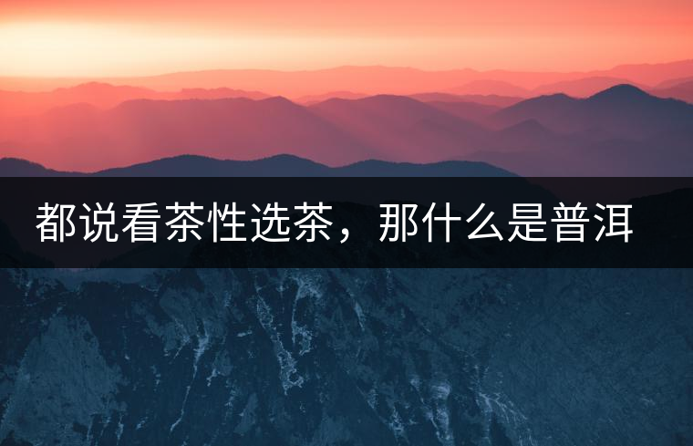 都說看茶性選茶，那什么是普洱茶的“茶性”呢？