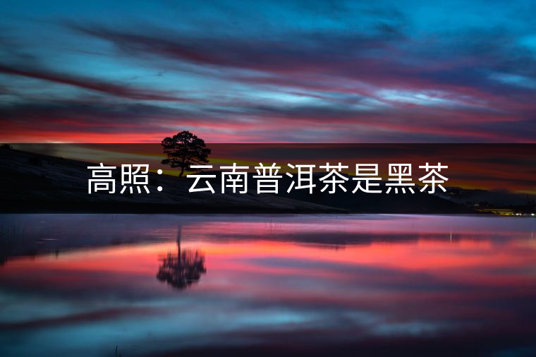 高照：云南普洱茶是黑茶