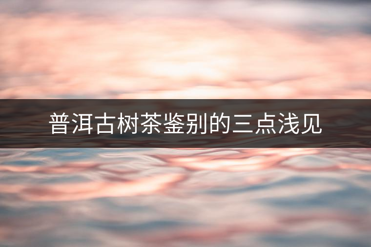 普洱古樹茶鑒別的三點淺見