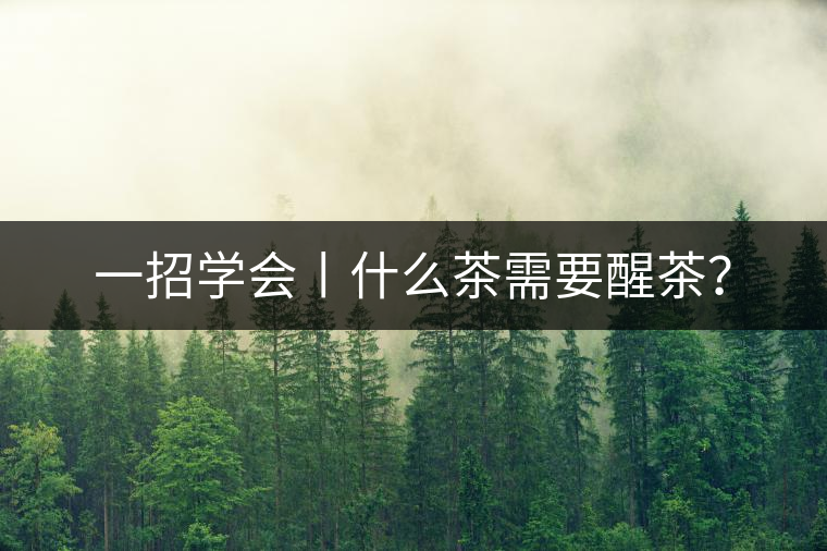 一招學(xué)會丨什么茶需要醒茶？