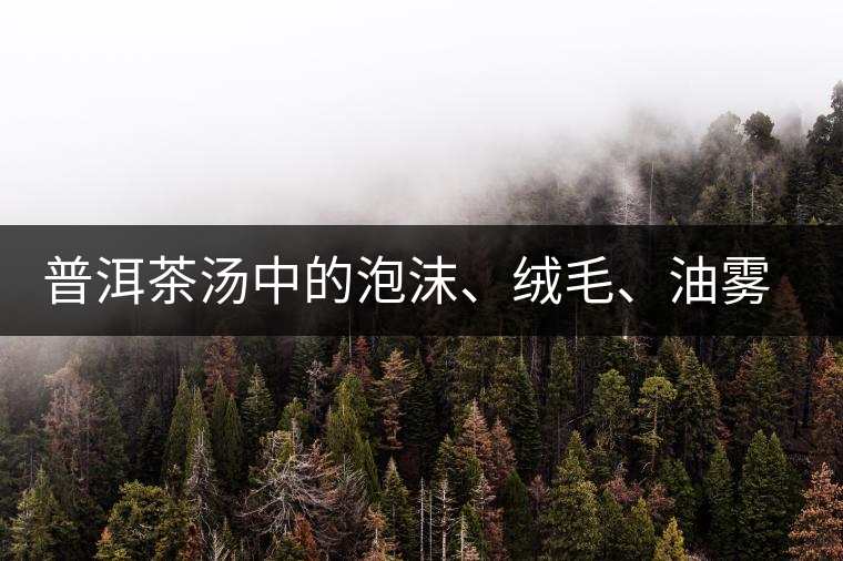 普洱茶湯中的泡沫、絨毛、油霧、絮狀物……原來(lái)是這些東西！