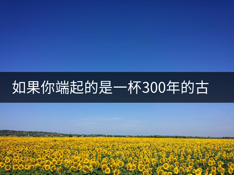 如果你端起的是一杯300年的古樹茶，那會(huì)是一種怎樣的心境？