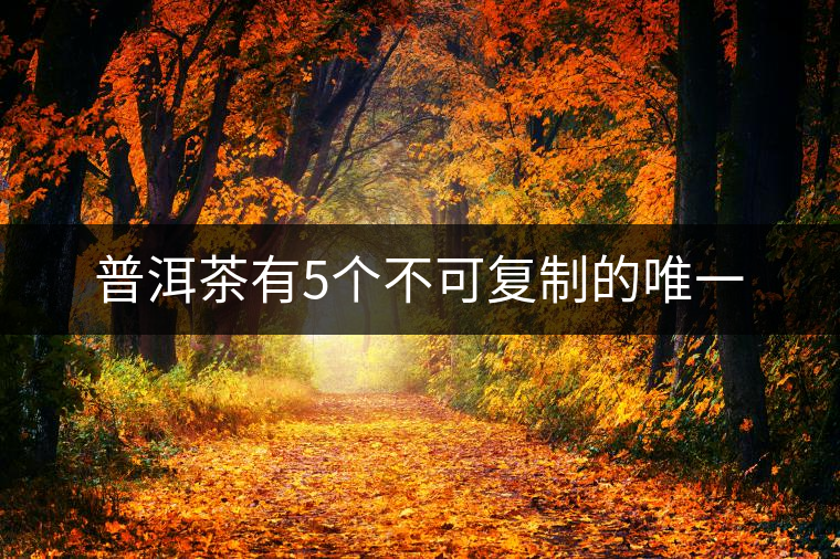 普洱茶有5個不可復(fù)制的唯一 普洱茶有5個不可復(fù)制的唯一