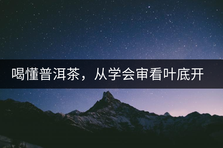 喝懂普洱茶，從學(xué)會審看葉底開始