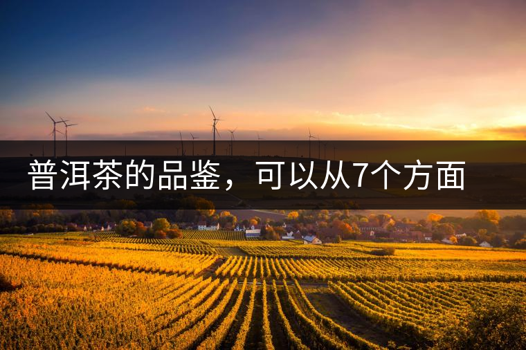 普洱茶的品鑒，可以從7個方面著手