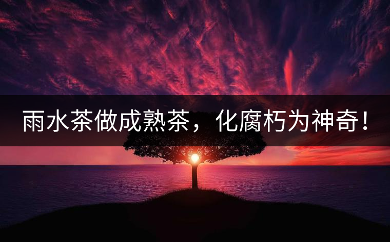 雨水茶做成熟茶，化腐朽為神奇！