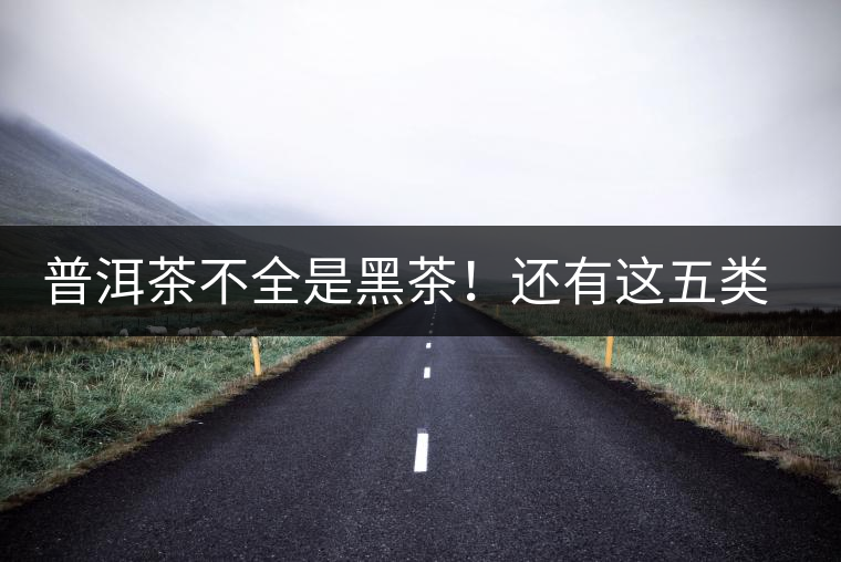 普洱茶不全是黑茶！還有這五類茶，現(xiàn)在知道還不算晚