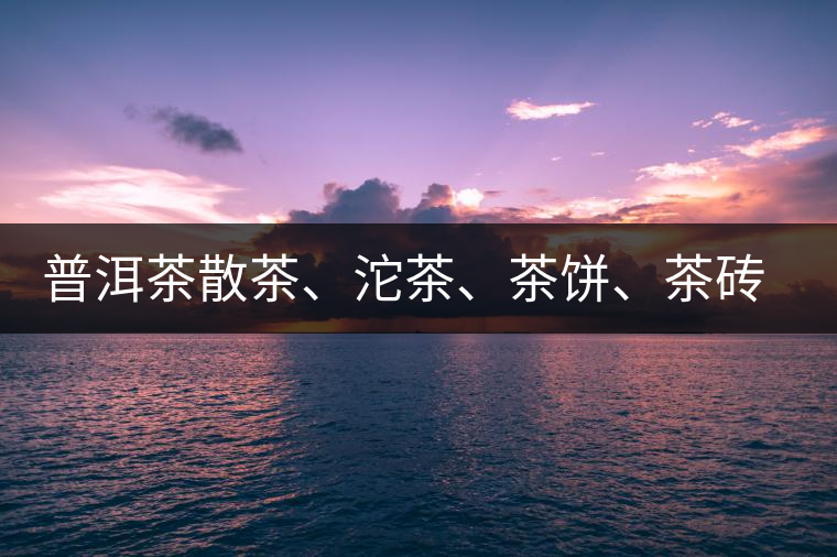 普洱茶散茶、沱茶、茶餅、茶磚哪種更好？