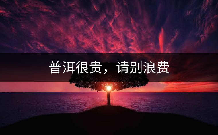 普洱很貴，請(qǐng)別浪費(fèi)