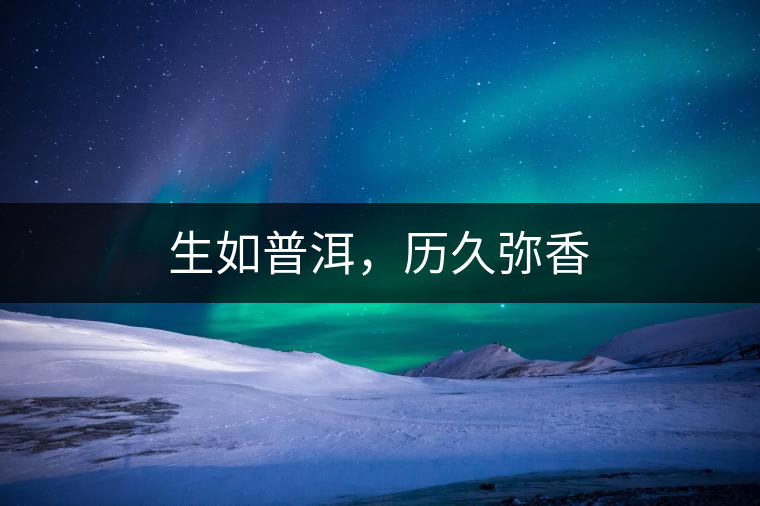 生如普洱，歷久彌香