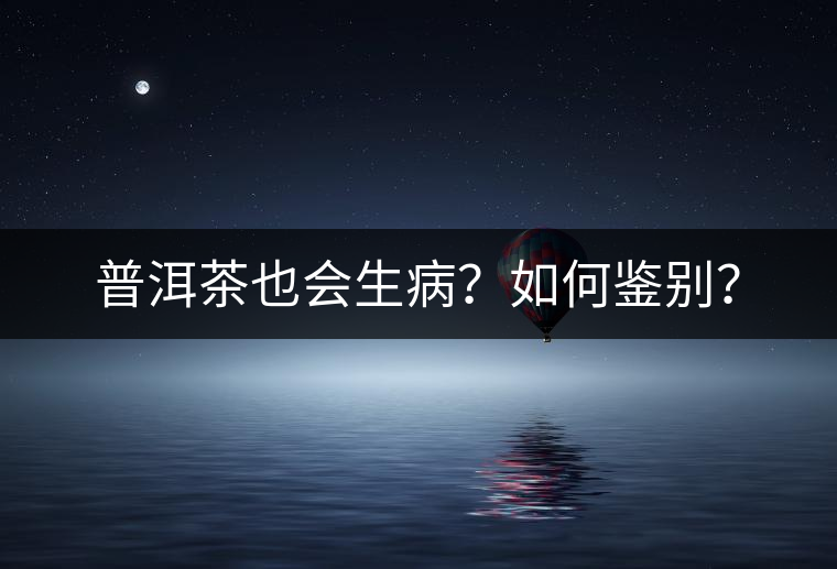 普洱茶也會生??？如何鑒別？