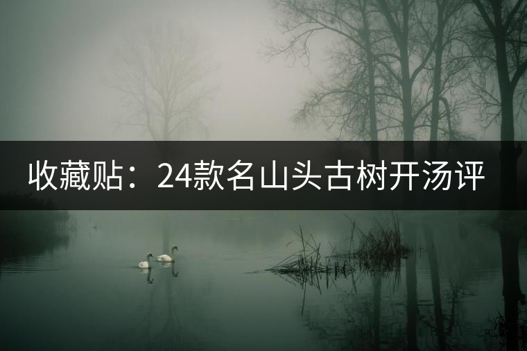 收藏貼：24款名山頭古樹(shù)開(kāi)湯評(píng)測(cè)