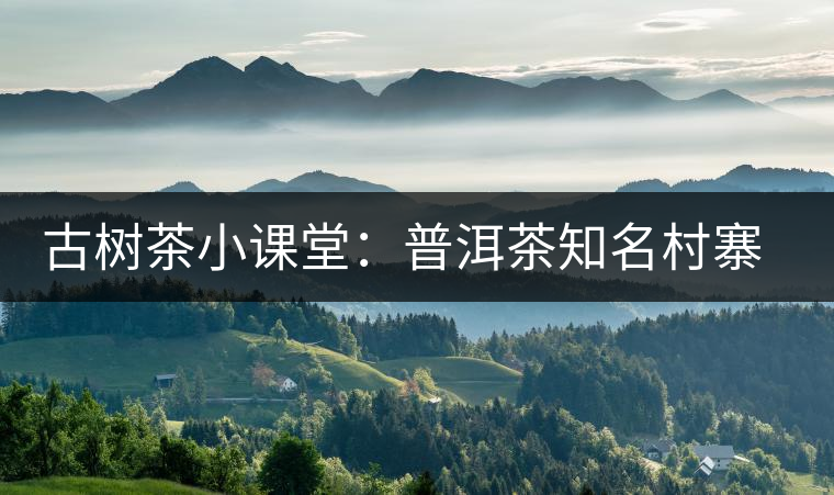 古樹(shù)茶小課堂：普洱茶知名村寨的生態(tài)環(huán)境如何？