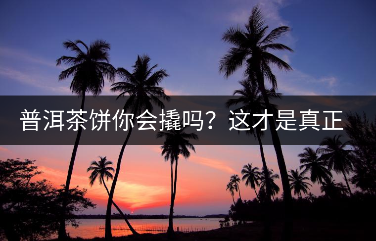 普洱茶餅?zāi)銜?huì)撬嗎?這才是真正的撬茶高手所具備的技巧 普洱茶餅?zāi)銜?huì)撬嗎?這才是真正的撬茶高手所具備的技巧