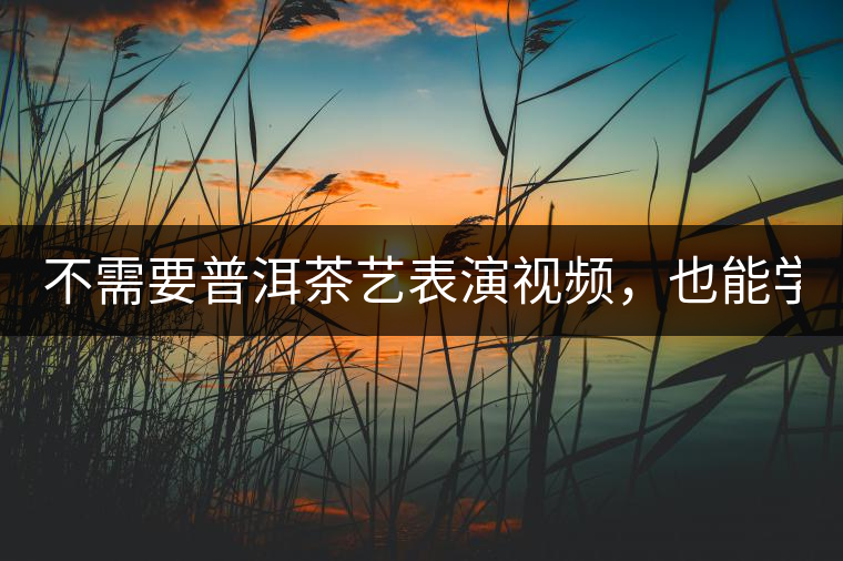 不需要普洱茶藝表演視頻，也能學(xué)會(huì)的茶藝！