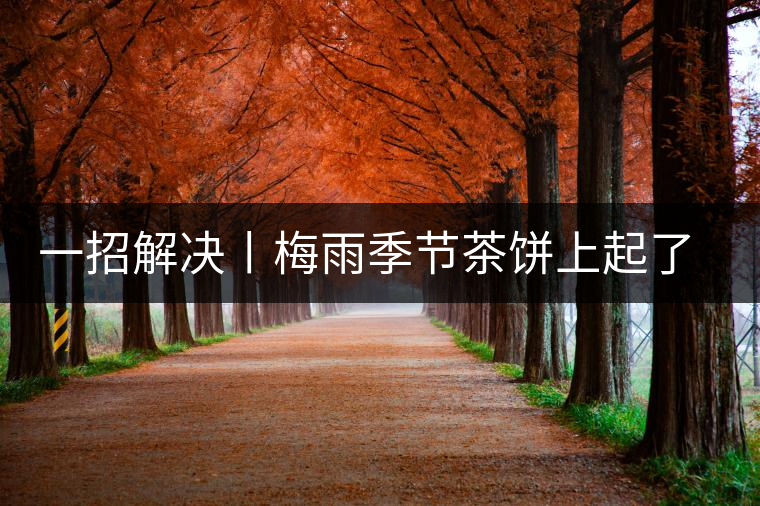一招解決丨梅雨季節(jié)茶餅上起了白霜白點(diǎn)怎么辦？