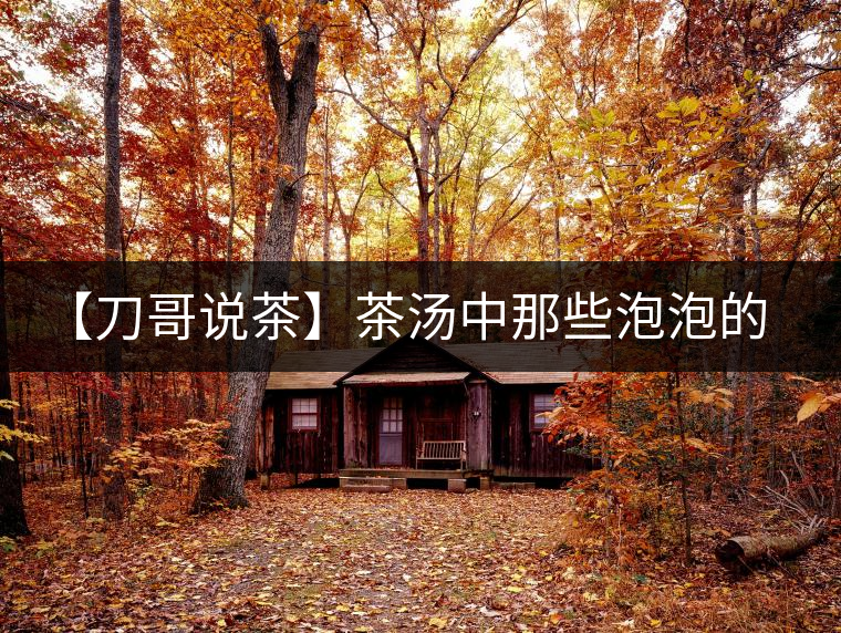 【刀哥說茶】茶湯中那些泡泡的始作俑者，茶皂素只是其中一個