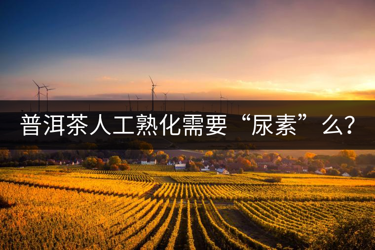 普洱茶人工熟化需要“尿素”么？