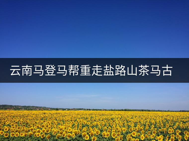 云南馬登馬幫重走鹽路山茶馬古道 為茶馬古道申報(bào)世界自然遺產(chǎn)拍攝紀(jì)錄片 云南馬登馬幫重走鹽路山茶馬古道 為茶馬古道申報(bào)世界自然遺產(chǎn)拍攝紀(jì)錄片