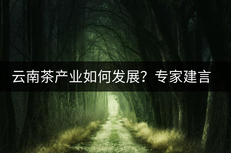 云南茶產(chǎn)業(yè)如何發(fā)展？專家建言：產(chǎn)業(yè)復(fù)興助脫貧