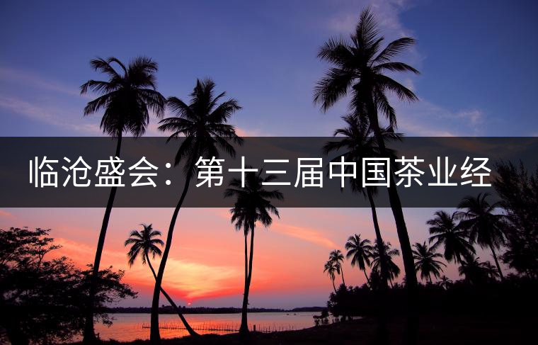 臨滄盛會:第十三屆中國茶業(yè)經(jīng)濟年會聚焦中國茶產(chǎn)業(yè)的下一個五年 臨滄盛會:第十三屆中國茶業(yè)經(jīng)濟年會聚焦中國茶產(chǎn)業(yè)的下一個五年