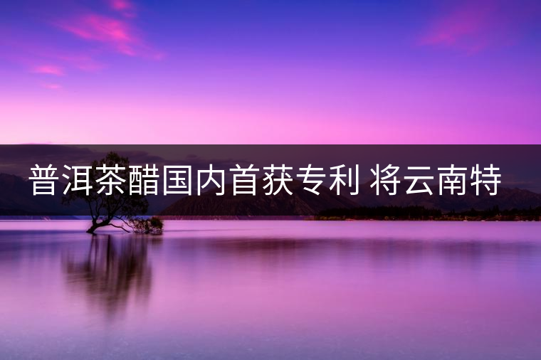 普洱茶醋國內首獲專利 將云南特色推往全國各地