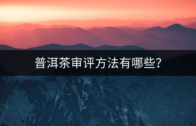 普洱茶審評方法有哪些？