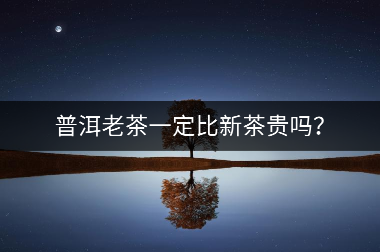 普洱老茶一定比新茶貴嗎？