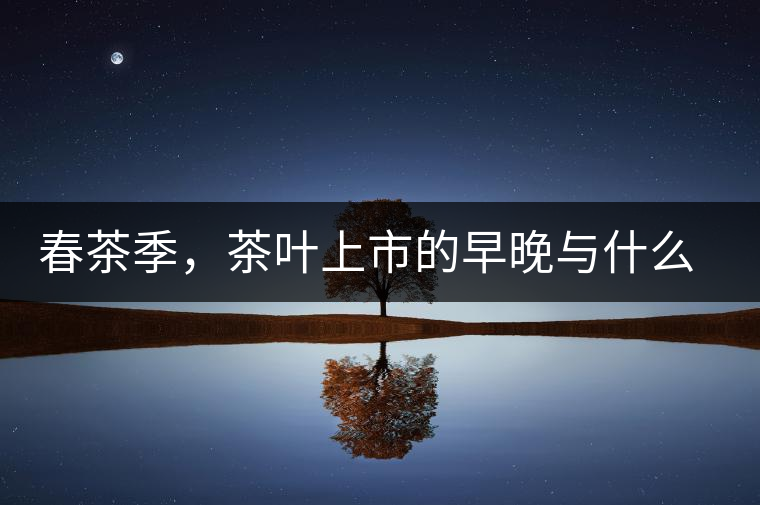 春茶季，茶葉上市的早晚與什么有關(guān)