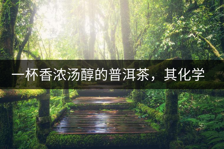 一杯香濃湯醇的普洱茶，其化學(xué)成分是怎樣的？