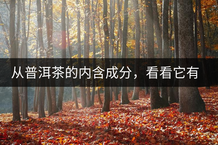 從普洱茶的內含成分，看看它有什么功效？