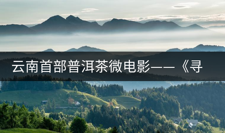 云南首部普洱茶微電影——《尋找石介》在昆明首映