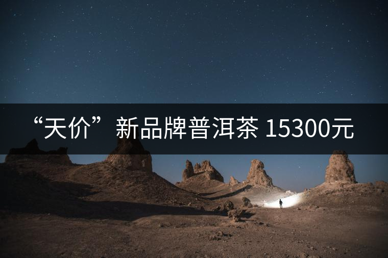 “天價”新品牌普洱茶 15300元/餅！