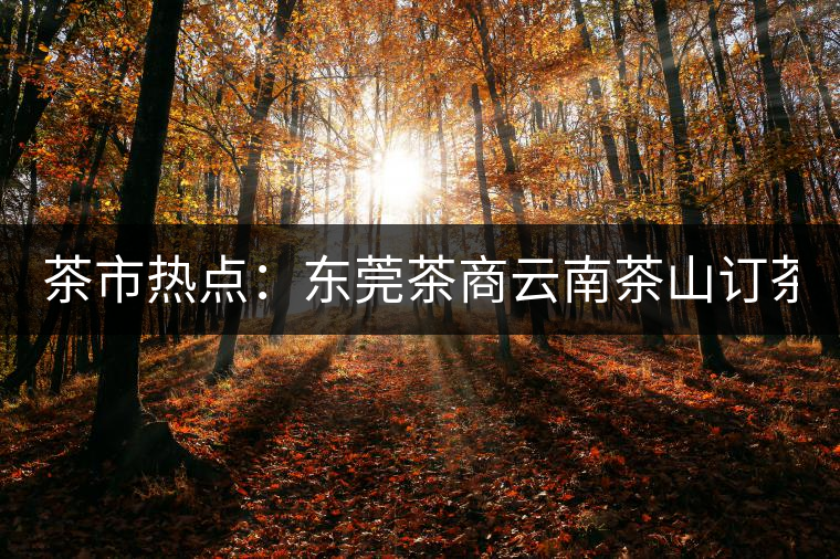 茶市熱點：東莞茶商云南茶山訂茶 豪派300萬