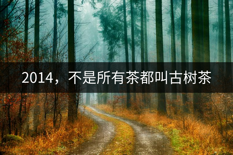 2014，不是所有茶都叫古樹茶