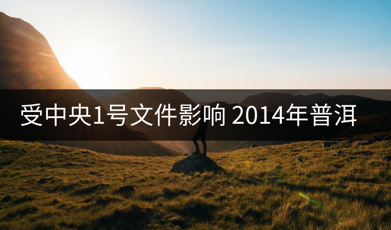 受中央1號(hào)文件影響 2014年普洱茶何去何從？