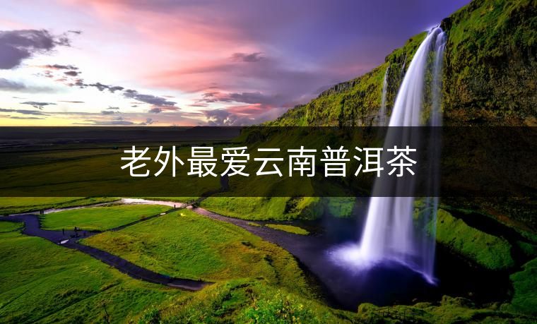 老外最愛云南普洱茶 老外最愛云南普洱茶