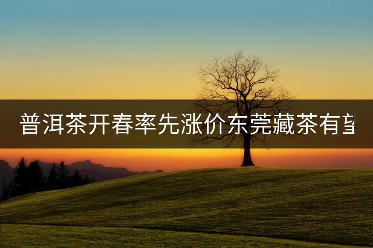 普洱茶開春率先漲價(jià)東莞藏茶有望“開倉(cāng)”