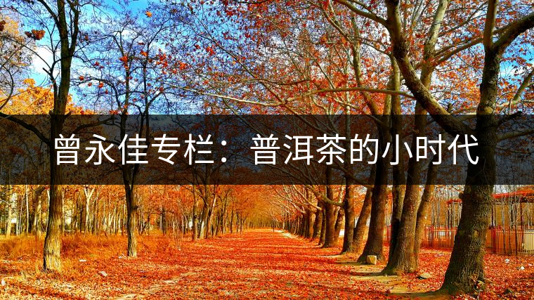 曾永佳專欄:普洱茶的小時代 曾永佳專欄:普洱茶的小時代