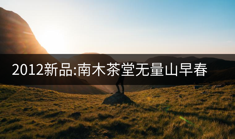 2012新品:南木茶堂無(wú)量山早春大樹茶