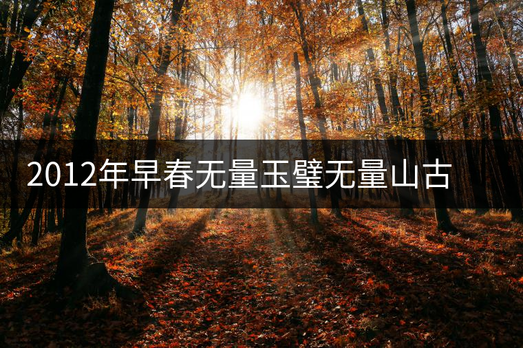 2012年早春無(wú)量玉璧無(wú)量山古樹純料普洱茶生茶餅 2012年早春無(wú)量玉璧無(wú)量山古樹純料普洱茶生茶餅