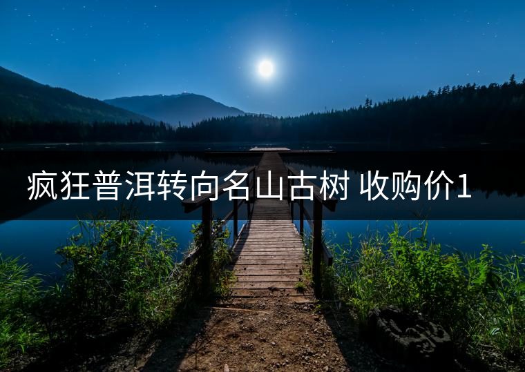 瘋狂普洱轉(zhuǎn)向名山古樹 收購價(jià)1年漲兩三倍 瘋狂普洱轉(zhuǎn)向名山古樹 收購價(jià)1年漲兩三倍