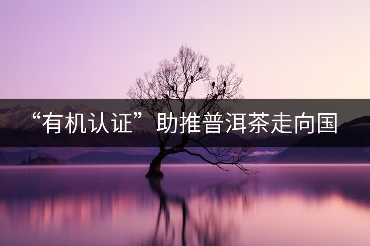 “有機(jī)認(rèn)證”助推普洱茶走向國際