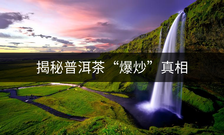 揭秘普洱茶“爆炒”真相 揭秘普洱茶“爆炒”真相