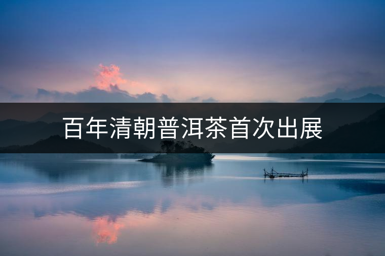 百年清朝普洱茶首次出展 百年清朝普洱茶首次出展