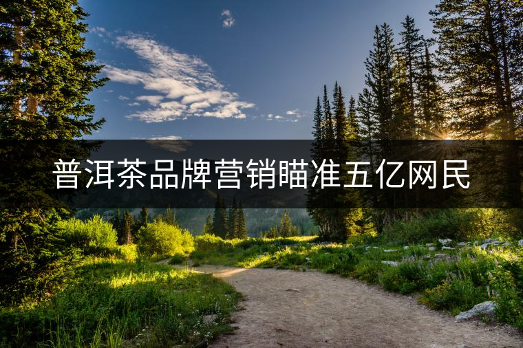 普洱茶品牌營銷瞄準(zhǔn)五億網(wǎng)民 普洱茶品牌營銷瞄準(zhǔn)五億網(wǎng)民