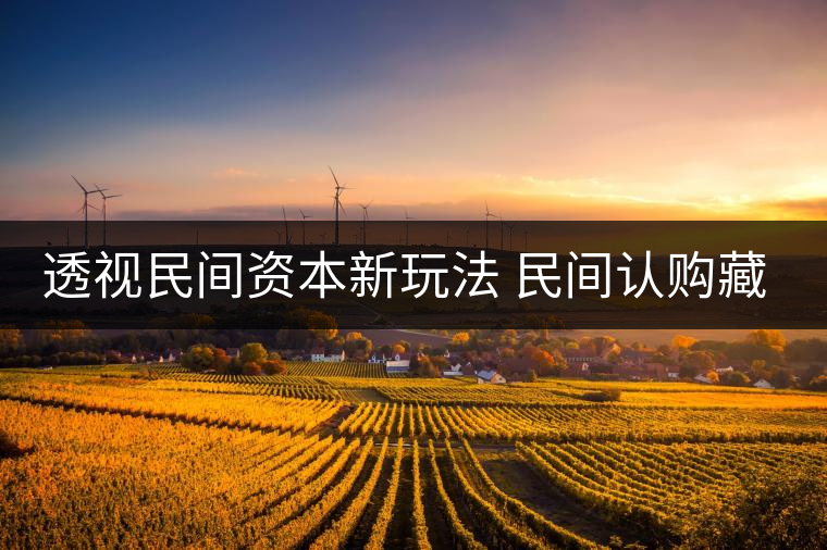 透視民間資本新玩法 民間認購藏茶獲利按比分成