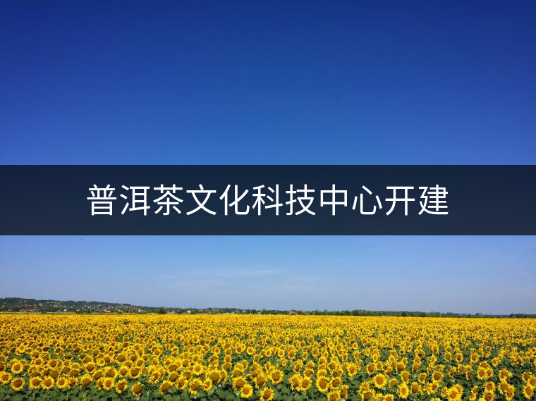普洱茶文化科技中心開建 普洱茶文化科技中心開建